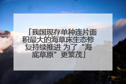 我国现存单种连片面积最大的海草床生态修复持续推进 为了“海底草原”更繁茂
