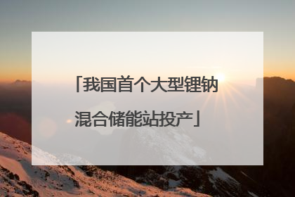 我国首个大型锂钠混合储能站投产