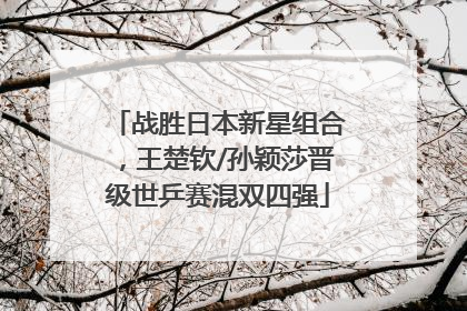 战胜日本新星组合，王楚钦/孙颖莎晋级世乒赛混双四强
