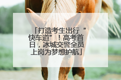 打造考生出行“快车道”！高考首日，冰城交警全员上岗为梦想护航