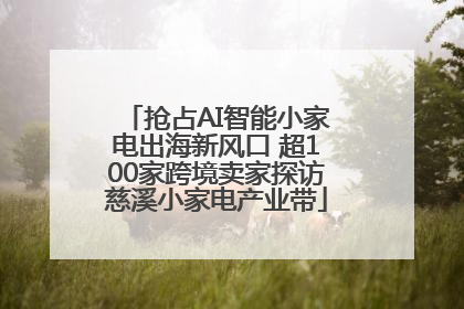 抢占AI智能小家电出海新风口 超100家跨境卖家探访慈溪小家电产业带