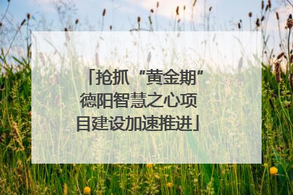 抢抓“黄金期” 德阳智慧之心项目建设加速推进