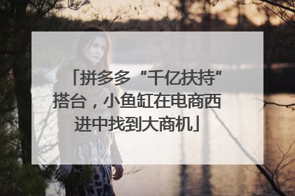 拼多多“千亿扶持”搭台，小鱼缸在电商西进中找到大商机