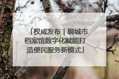 权威发布｜聊城市档案馆数字化赋能打造便民服务新模式