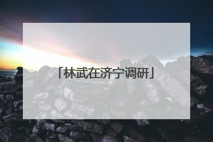 林武在济宁调研