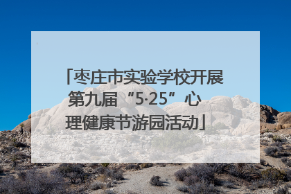 枣庄市实验学校开展第九届“5·25”心理健康节游园活动