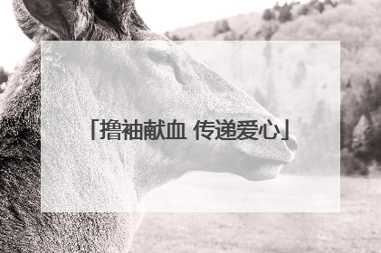 撸袖献血 传递爱心