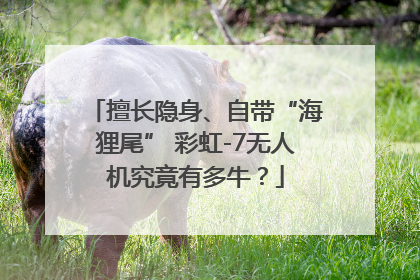 擅长隐身、自带“海狸尾” 彩虹-7无人机究竟有多牛？