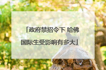 政府禁招令下 哈佛国际生受影响有多大