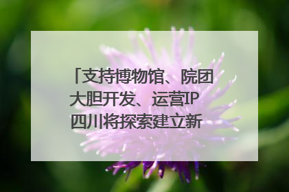 支持博物馆、院团大胆开发、运营IP 四川将探索建立新的收入分配激励机制｜新闻发布最前线