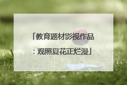 教育题材影视作品：观照夏花正烂漫