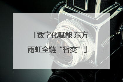 数字化赋能 东方雨虹全链“智变”