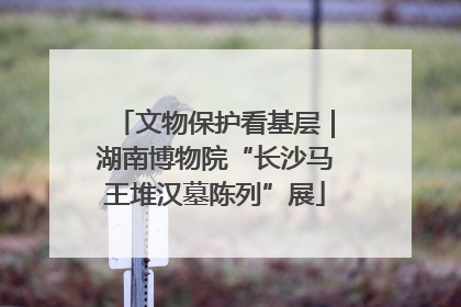 文物保护看基层｜湖南博物院“长沙马王堆汉墓陈列”展