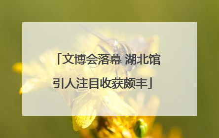 文博会落幕 湖北馆引人注目收获颇丰