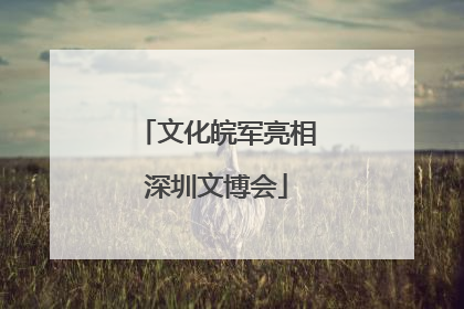 文化皖军亮相深圳文博会