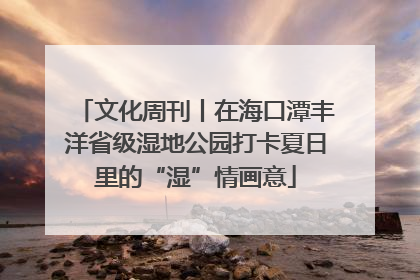 文化周刊丨在海口潭丰洋省级湿地公园打卡夏日里的“湿”情画意