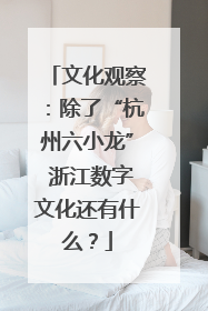 文化观察：除了“杭州六小龙” 浙江数字文化还有什么？
