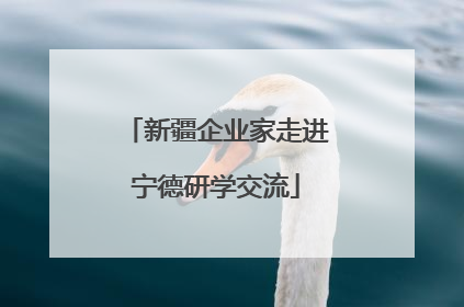新疆企业家走进宁德研学交流