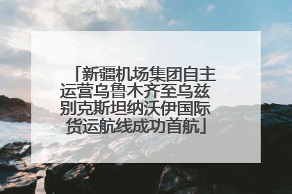 新疆机场集团自主运营乌鲁木齐至乌兹别克斯坦纳沃伊国际货运航线成功首航