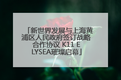 新世界发展与上海黄浦区人民政府签订战略合作协议 K11 ELYSEA璀璨启幕
