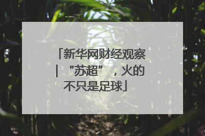 新华网财经观察｜“苏超”，火的不只是足球
