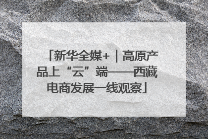 新华全媒+｜高原产品上“云”端——西藏电商发展一线观察