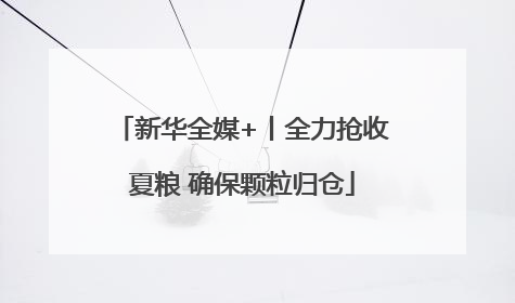 新华全媒+丨全力抢收夏粮 确保颗粒归仓