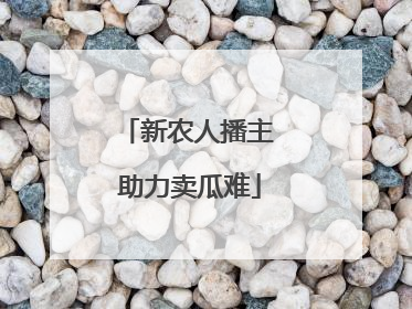 新农人播主 助力卖瓜难