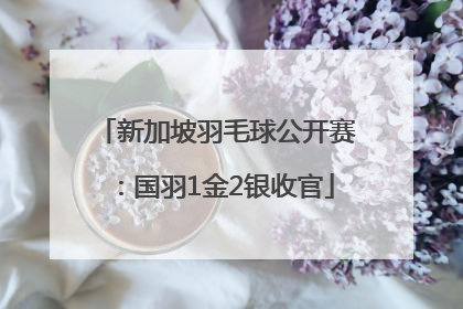 新加坡羽毛球公开赛：国羽1金2银收官