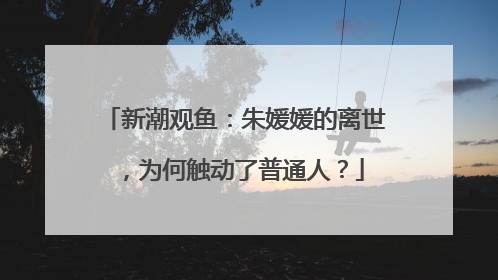 新潮观鱼：朱媛媛的离世，为何触动了普通人？