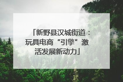 新野县汉城街道：玩具电商“引擎”激活发展新动力