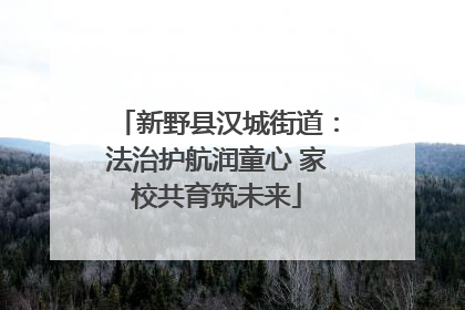 新野县汉城街道：法治护航润童心 家校共育筑未来