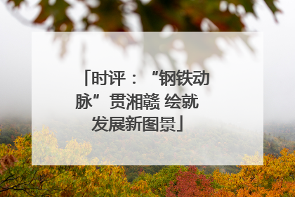 时评：“钢铁动脉”贯湘赣 绘就发展新图景