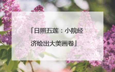日照五莲：小院经济绘出大美画卷