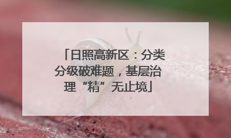 日照高新区：分类分级破难题，基层治理“精”无止境
