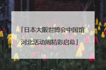 日本大阪世博会中国馆河北活动周精彩启幕
