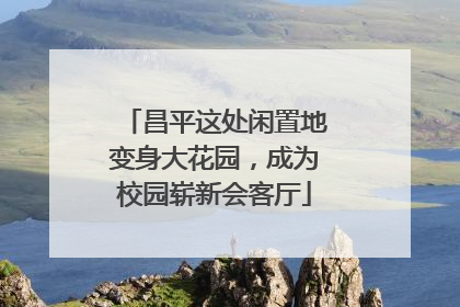 昌平这处闲置地变身大花园，成为校园崭新会客厅
