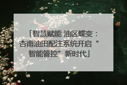 智慧赋能 油区蝶变：杏南油田配注系统开启“智能管控”新时代