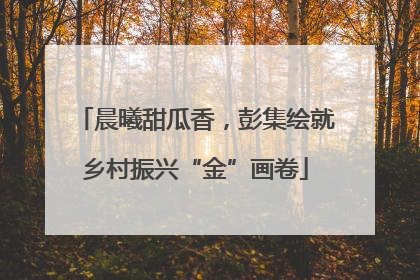 晨曦甜瓜香，彭集绘就乡村振兴“金”画卷