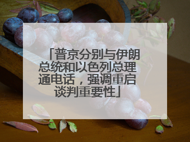 普京分别与伊朗总统和以色列总理通电话，强调重启谈判重要性
