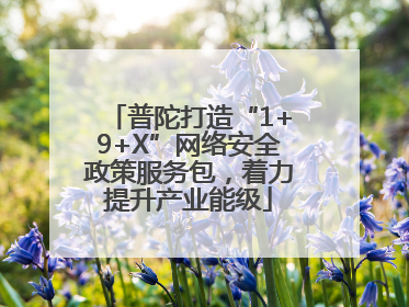 普陀打造“1+9+X”网络安全政策服务包，着力提升产业能级