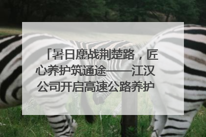 暑日鏖战荆楚路，匠心养护筑通途——江汉公司开启高速公路养护专项工程建设热潮