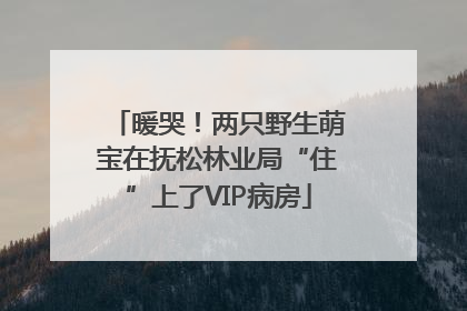 暖哭！两只野生萌宝在抚松林业局“住”上了VIP病房