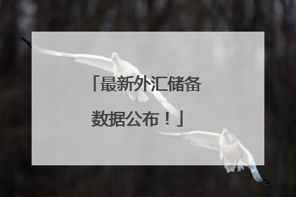 最新外汇储备数据公布！
