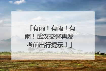 有雨！有雨！有雨！武汉交警再发考前出行提示！