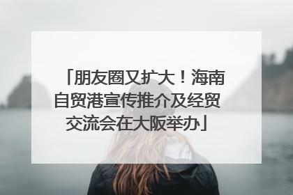 朋友圈又扩大！海南自贸港宣传推介及经贸交流会在大阪举办