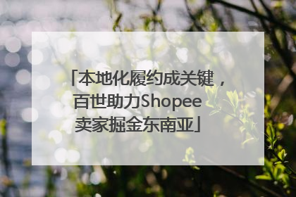 本地化履约成关键，百世助力Shopee卖家掘金东南亚