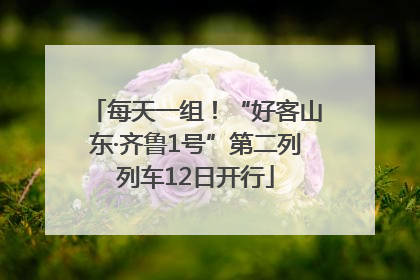 每天一组！“好客山东·齐鲁1号”第二列列车12日开行