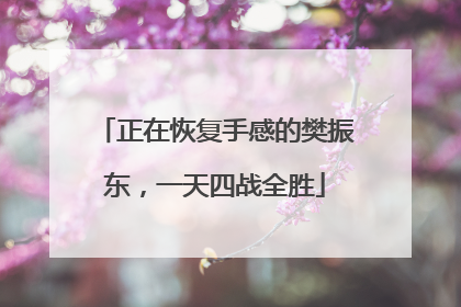 正在恢复手感的樊振东，一天四战全胜