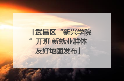 武昌区“新兴学院”开班 新就业群体友好地图发布